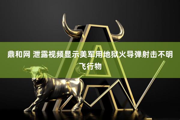 鼎和网 泄露视频显示美军用地狱火导弹射击不明飞行物