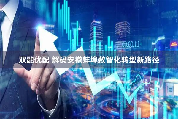 双融优配 解码安徽蚌埠数智化转型新路径