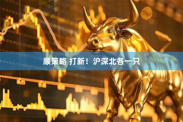 顺策略 打新！沪深北各一只