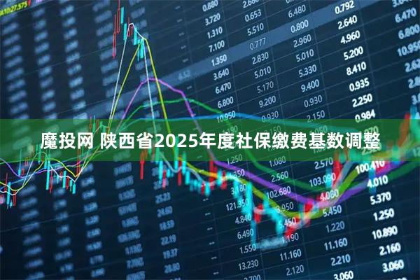 魔投网 陕西省2025年度社保缴费基数调整