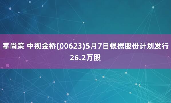掌尚策 中视金桥(00623)5月7日根据股份计划发行26.2万股