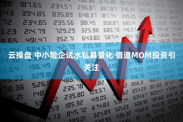 云操盘 中小险企试水私募量化 借道MOM投资引关注