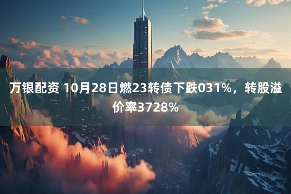 万银配资 10月28日燃23转债下跌031%，转股溢价率3728%